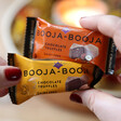 Lisa Angel Booja-Booja Pack of 2 Vegan Truffles