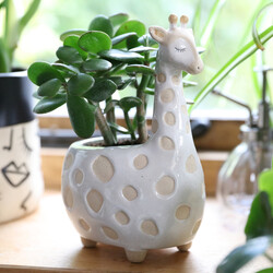 Sass & Belle Gina Giraffe Planter, H20cm