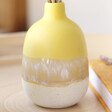 Lisa Angel with Small Sass & Belle Mojave Glaze Yellow Vase