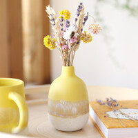 Sass & Belle Mojave Glaze Yellow Vase, H11.5cm