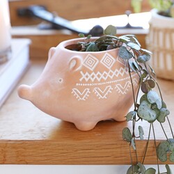 Sass & Belle Terracotta Hedgehog Planter, H8cm