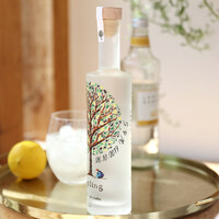 Personalised Bottle of Sapling Vodka