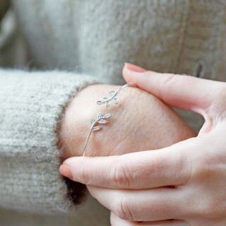 Crystal Leaves Bangle in Silver