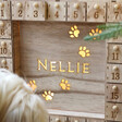 Lisa Angel Personalised Fill Your Own Wooden Pet Advent Calendar Light Box