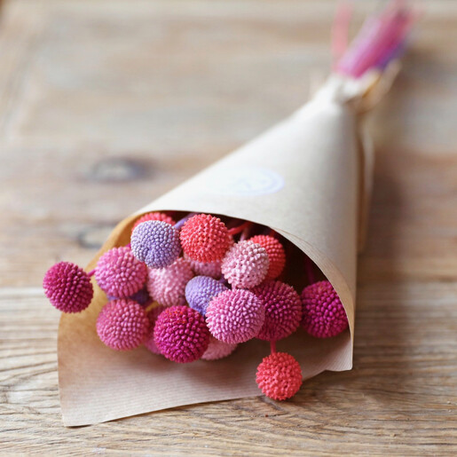 Preserved Candy Billy Buttons Craspedia Flowers