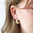 Wide Irregular Shape Hoop Earrings in Gold on Model