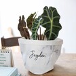 Small Personalised Round Marble Paper Plant Pot