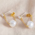 Ladies' Freshwater Pearl and Chain Drop Earrings in Gold