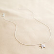 Crystal Star Necklace in Silver From Lisa Angel