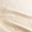 Full Length of Mixed Metal Double Star Necklace