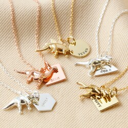 Personalised Dinosaur Necklace