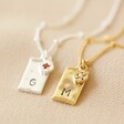 Ladies' Delicate Personalised Tiny Hammered Tag Pendant Necklace with Birthstone Charm