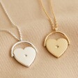 Silver and Gold Spinning Heart Pendant Necklaces
