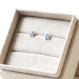 Gift Box and Tala Lani Sterling Silver Blue Opal Star Stud Earrings
