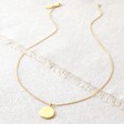 Full Length of Tala Lani Gold Sterling Silver Hammered Pebble Necklace
