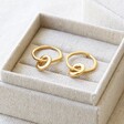 Gift Box and Tala Lani Gold Sterling Silver Interlocking Hoop Earrings