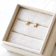 Gift Box and Tala Lani Gold Sterling Silver Opal Star Stud Earrings
