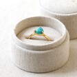 Tala Lani Gold Sterling Silver Turquoise Stone Ring in Packaging