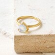 Tala Lani Gold Sterling Silver White Opal Ring