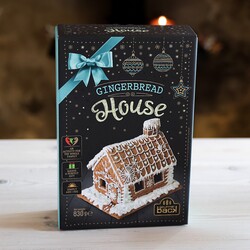 Gingerbread House Building Kit