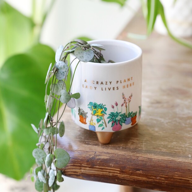 Small 'Crazy Plant Lady' Standing Planter, H8.5cm