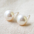 Ladies' Ivory Sterling Silver Freshwater Pearl Stud Earrings