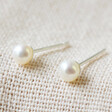 Ladies' Tiny Ivory Sterling Silver Freshwater Pearl Stud Earrings