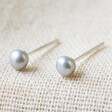 Ladies' Tiny Grey Sterling Silver Freshwater Pearl Stud Earrings