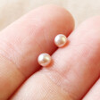 Lisa Angel Tiny Vintage Pink Sterling Silver Freshwater Pearl Stud Earrings