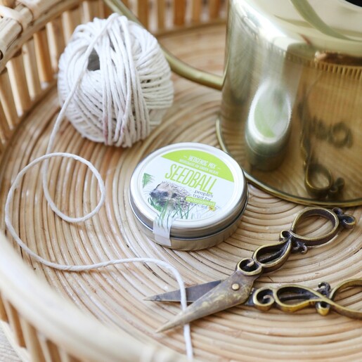 Tin of Hedgehog Mix Seed Balls Amongst String and Scissors On A Table