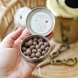 Inside Tin of Hedgehog Mix Seed Balls