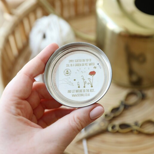 Inside Tin of Hedgehog Mix Seed Balls Lid