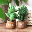 Handmade Felt Potted Standing Decoration in Basil and Mint