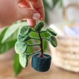 Handmade Felt Mini Plant Hanging Decorations