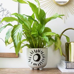 Ceramic Speckled Moon Planter, H12.5cm
