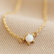 Close Up of Opal Turtle Charm Anklet in Gold