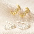 Lisa Angel Crystal Daisy Hoop Earrings in Gold and Silver 