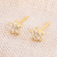 Lisa Angel Crystal Star Stud Earrings in Gold