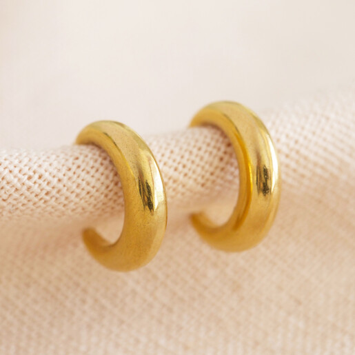 Gold Stainless Steel Moon Hoop Earrings Hooked on Cloth