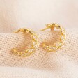 Lisa Angel Mini Crystal Fern Hoop Earrings in Gold