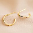 Rainbow Crystal Hoop Earrings in Gold From Lisa Angel