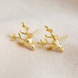 Stag Stud Earrings in Gold From Lisa Angel