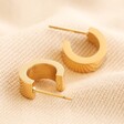Wide Gold Stainless Steel Huggie Hoop Earrings on Fabric