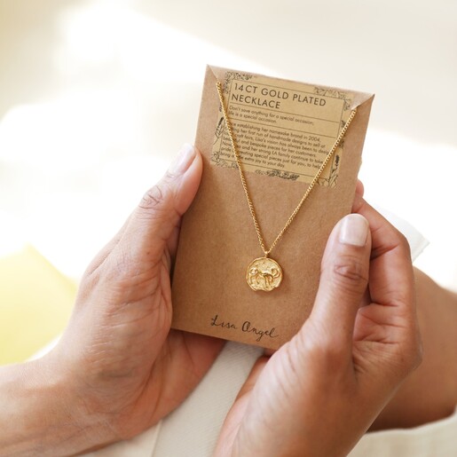 Necklace in Packaging Gold Stainless Steel Capricorn Pendant Necklace in Packaging