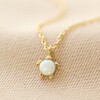 Close Up of Turtle Pendant