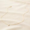 Full Length of Opal Turtle Charm Necklace in Gold Chain