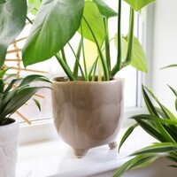 Garden Trading Large Stone Positano Pot