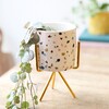 Lisa Angel Ladies' Terrazzo Print Mini Planter and Stand