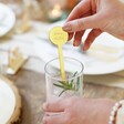 Gold Personalised Set of 4 Acrylic Cocktail Stirrers From Lisa Angel