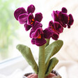Jellycat Amuseable Purple Orchid Flowers Soft Toy